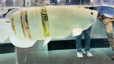 1578903241327867.gif https://mmbiz.qpic.cn/mmbiz_gif/jpBXxLSSYJicXqoC5a1GPFSI6VANuqtK21zHoH5RZibCHejq2UvW9WP7icOhAuh3jAGjByuyp1FYZKOLd4xLkaZuw/640?wx_fmt=gif&wxfrom=5&wx_lazy=1