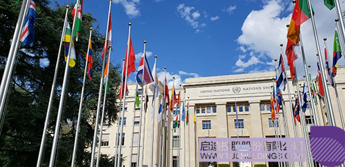 1623291758845050.jpg 1 拷贝.jpg