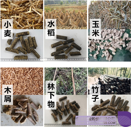 1683530232269030.jpg 微信图片_20230508151032c.jpg